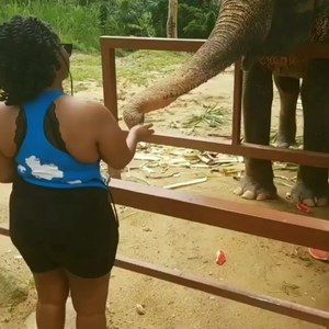 Meet your Posher, Samira